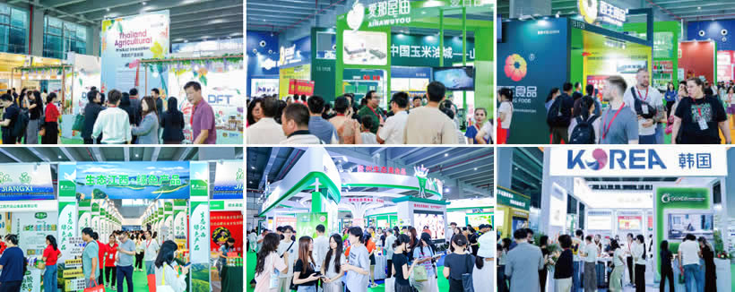 大米行業(yè)市場前景